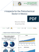 Prospects For The Petrochemical Sector in Mexico