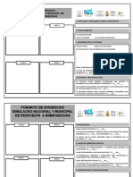 Formato de Evidencias