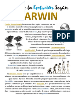 Teoría de La Evolución Según DARWIN