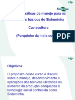 Aula Módulo 08 Porquinho Da Índia (Cuy)