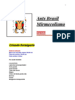 Como construir um formigueiro caseiro para observação de formigas