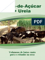 Folder-digital-web-Cana-de-Acucar-Ureia