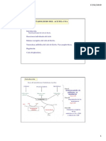 Tema 4. Metabolismo Del Acetil-CoA