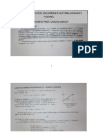 5 Fasores II-cohorte