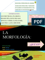 La Morfología