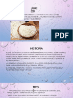 Diapositivas Arroz