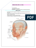 Miología de La Cara