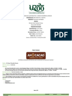 Plan Estratégico de Una Empresa - Equipo6 - AhCacao - MN-201