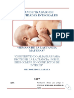 Plan de Trabajo Lactancia Materna 2017