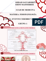 Universidad Salvadoreña Alberto Masferrer Facultad de Medicina Materia: Fisiopatología Tema: Evento Cerebro Vascular Grupo: 1