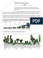 Parcial 2 Corte