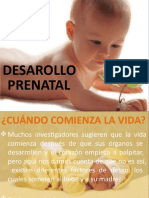 Desarrollo - Prenatal