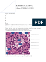 LKM Spermatogenesis