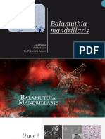 Balamuthia Mandrillaris Atualizado 2