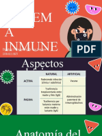 Exposicion Del Sistema Inmune