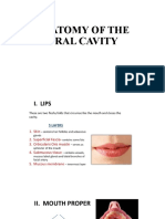 Anatomy of The Oral Cavity Sept