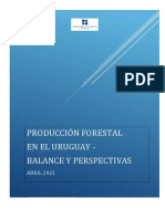 Produccion Forestal Uruguay 20210504