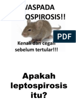 Waspada Leptospirosis!!