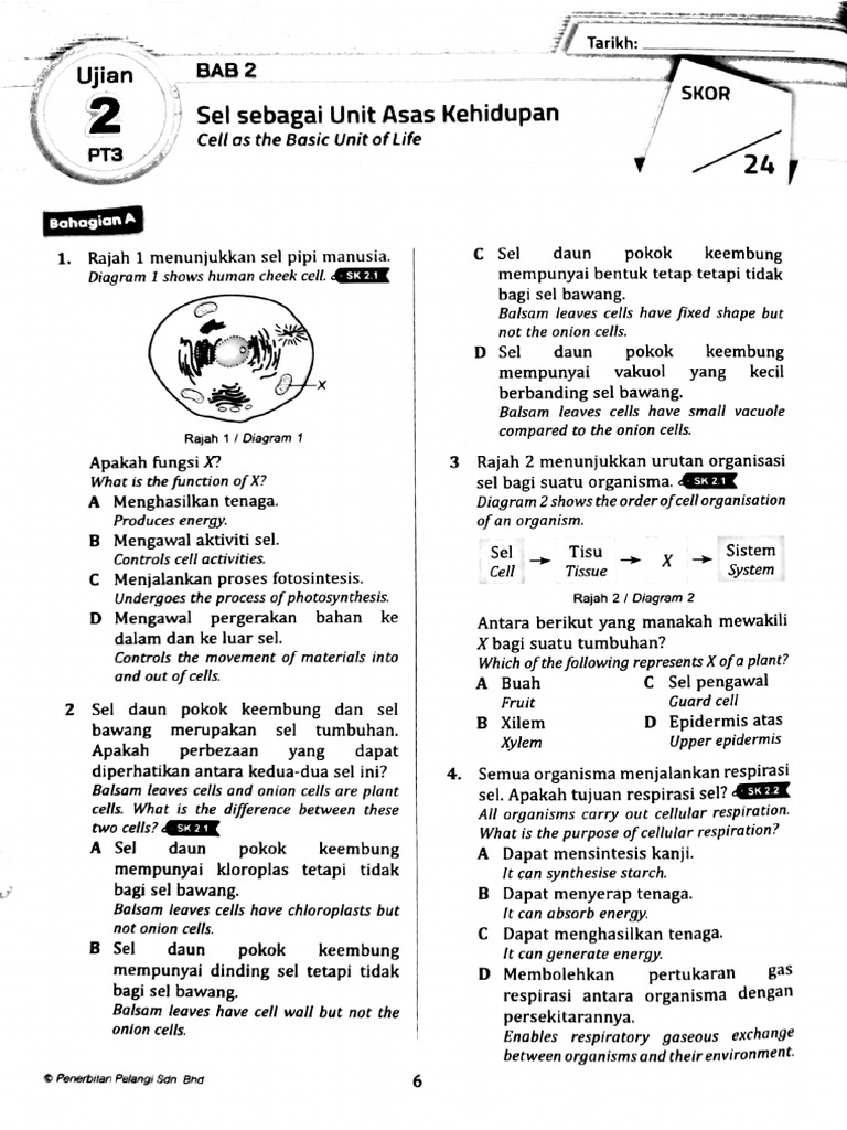 Science Exercise | PDF