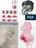 Embriología Cuadernillo