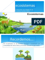 Maqueta Ecosistema