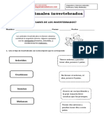 Ciencias Naturales - Invertebrados .Retroalimentación.