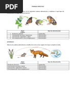 Cadena Trófica - Ecología