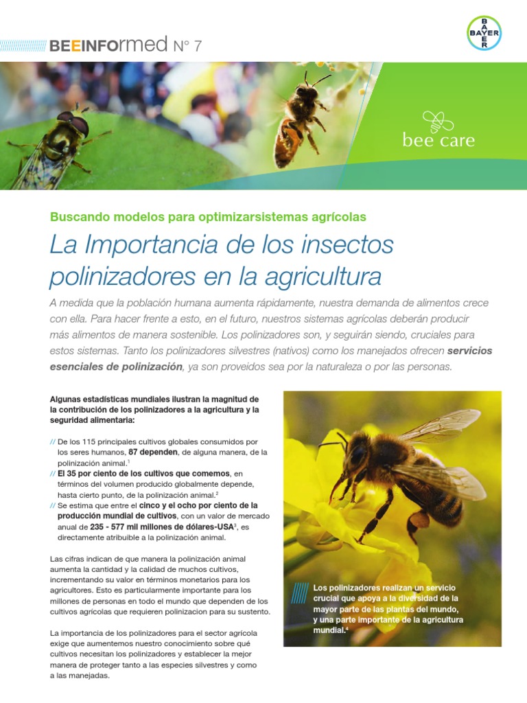 BEEINFOrmed No7 - La Importancia de Los Insectos Polinizadores en La