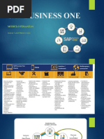 Manual de Finanzas en SAP Business One | PDF | Contabilidad | Presupuesto