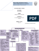 Mapas Conceptuales de Sistema Respiratorio