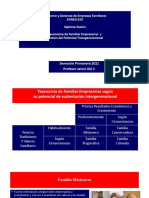 7 Taxonomia de Familias Empresarias y Gestion Del Potencial Intergeneracional