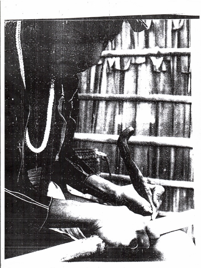 PANITIKAN AN ESSAY ON PHILIPPINE LITERATURE Doreen Fernandez | PDF