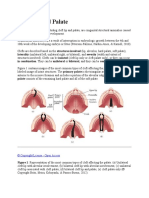 Cleft Lip and Palate