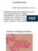 122287_2b. SALMONELLOSIS