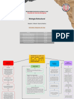 Equipo9 DiagramaDeFlujo BioEs