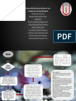 Equipo9 Diagramadeflujo FilosofiadelaCiencia