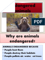 Endangeredanimals Conversation Topics Dialogs 123874