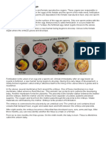 Embryo Development Stages