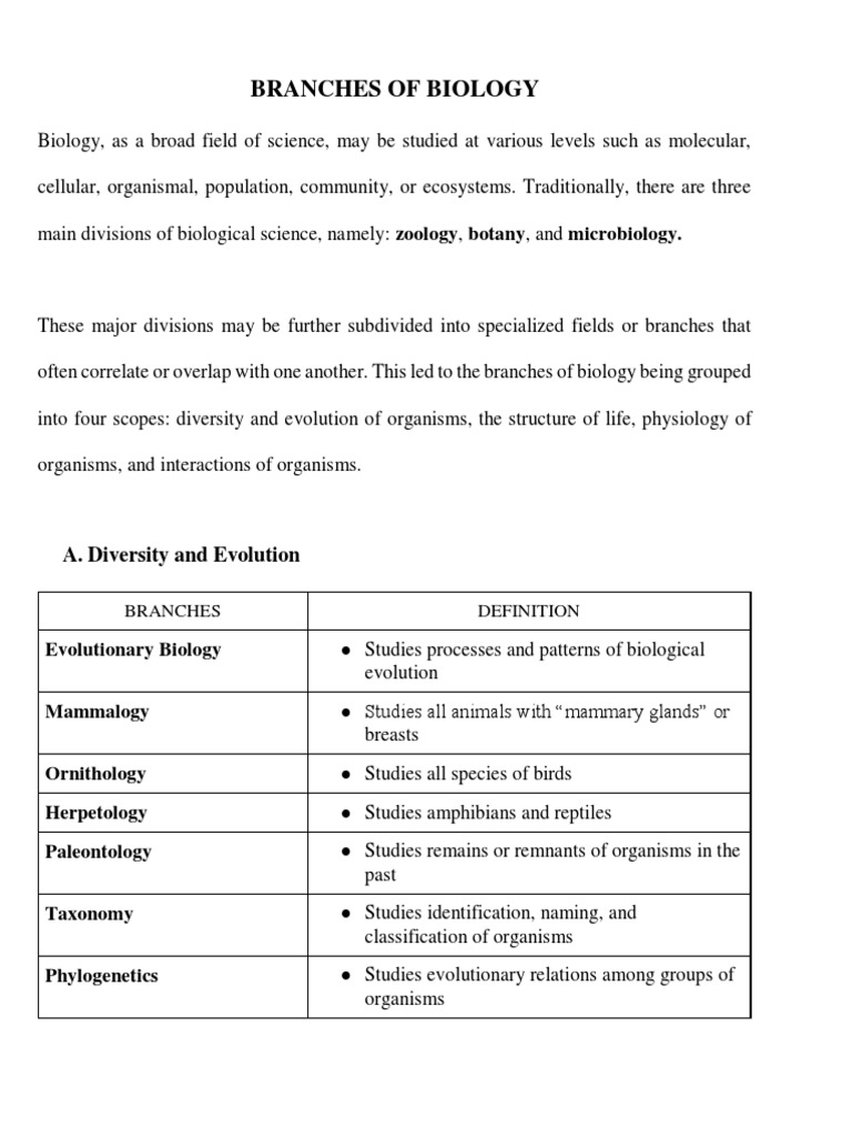 Branches of Biology PDF Biology Zoology