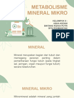 Kelompok 8 - Metabolisme Mikro Mineral (1) - 1