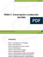 7. Transcripcion y Traduccion Del DNA