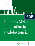 DiabetesMellitus2012