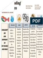 Understanding Similarities and Differences of Cultures 2