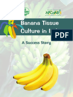 Banana Tissue Culture-Success Story 29-11-2019 for Circulation