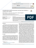 Muhamad Al Hafiz - 1920221169 - Corynebacterium Striatum Bacteremia Associated With Cellulitis in