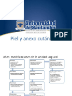 Semiología de Piel y Anexos II, Cabeza y Cuello. Semiología de Sistema Osteomuscular y Linfático