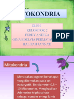 MITOKONDRIA