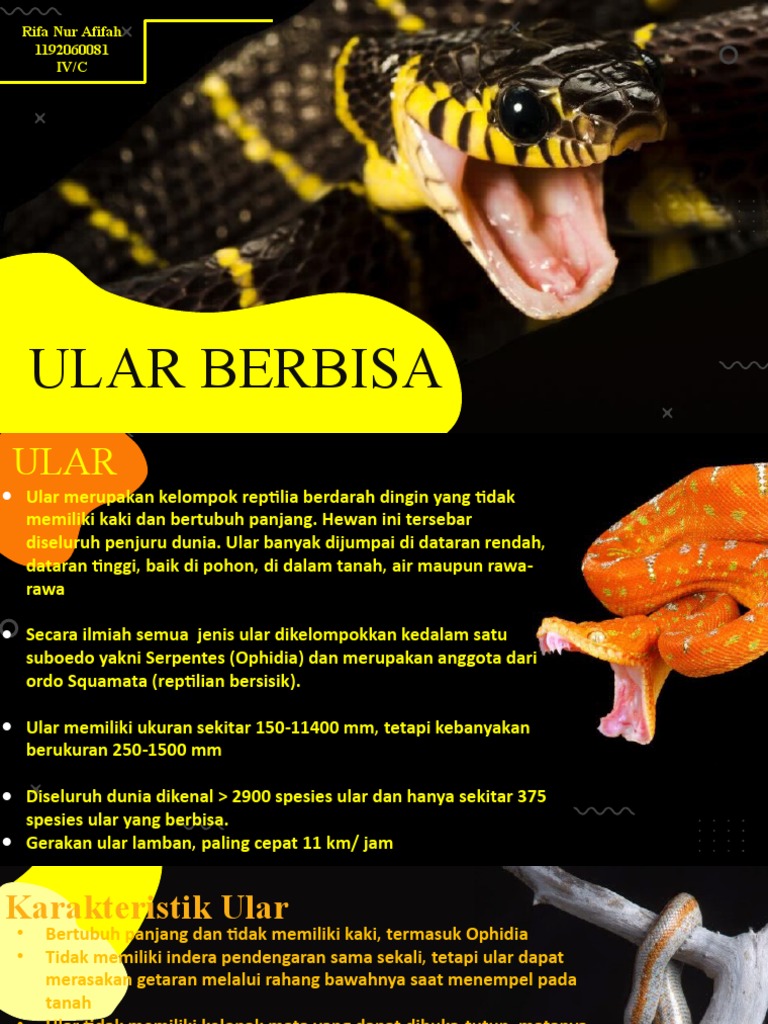 Jinsiy aloqa onlayn voyeur