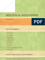 Biological Weathering