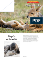 Raz Lf47 Animaldads SP CLR